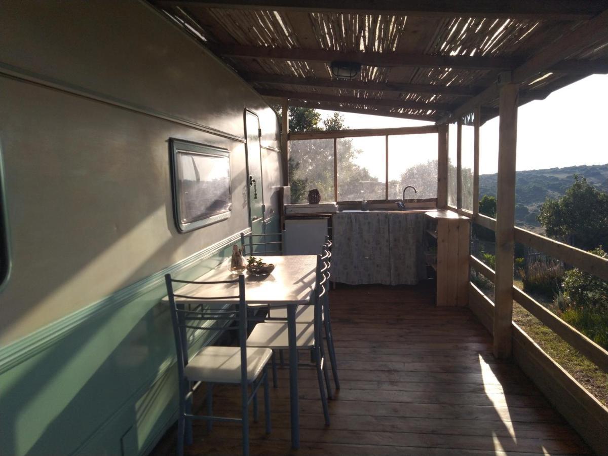 La Cera Farm Camping B&B Санта-Тереза-Галлура Экстерьер фото