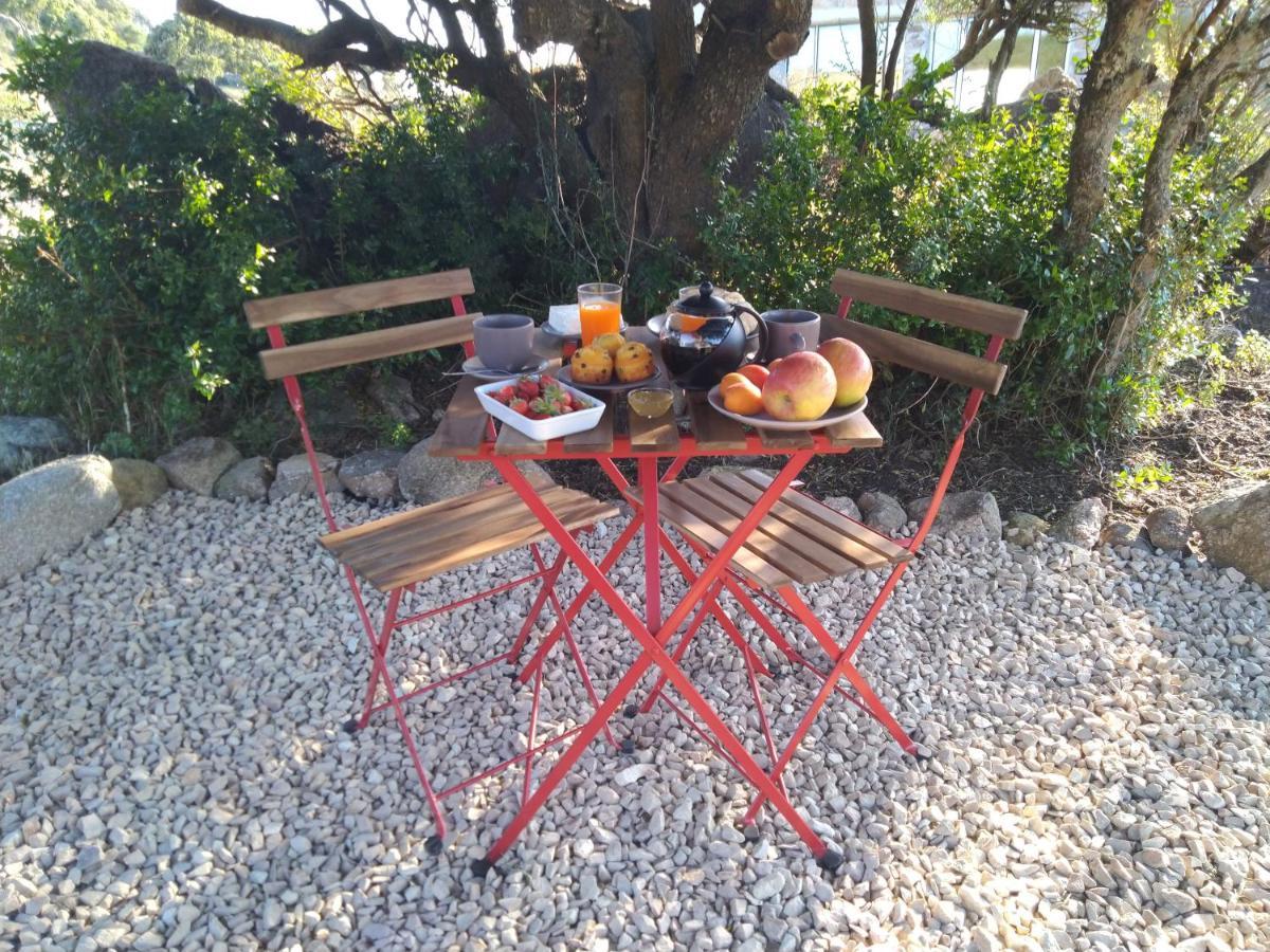 La Cera Farm Camping B&B Санта-Тереза-Галлура Экстерьер фото