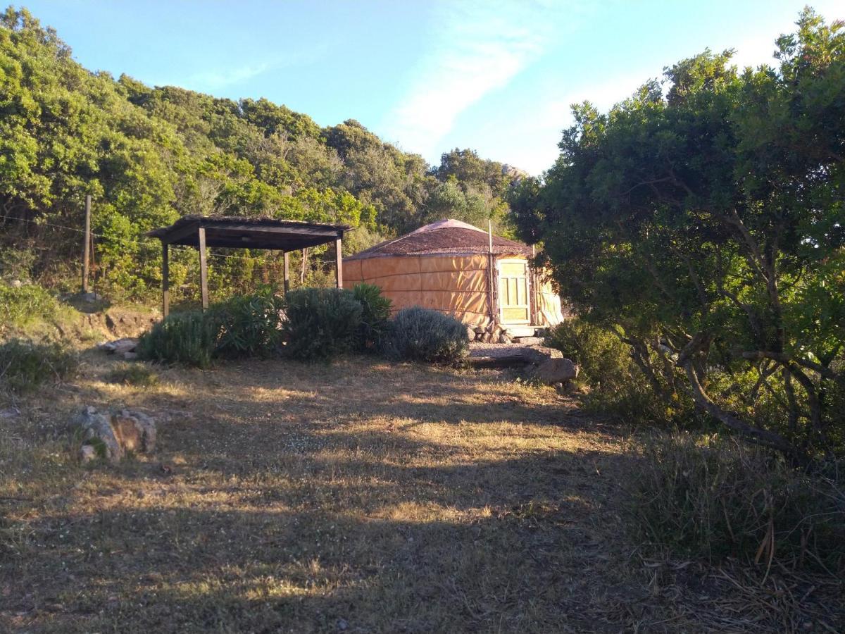 La Cera Farm Camping B&B Санта-Тереза-Галлура Экстерьер фото