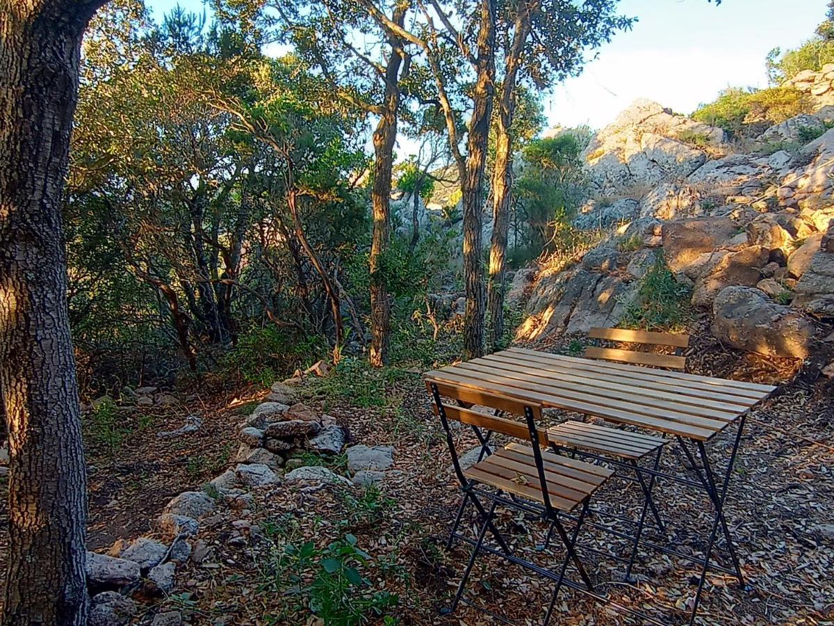 La Cera Farm Camping B&B Санта-Тереза-Галлура Экстерьер фото