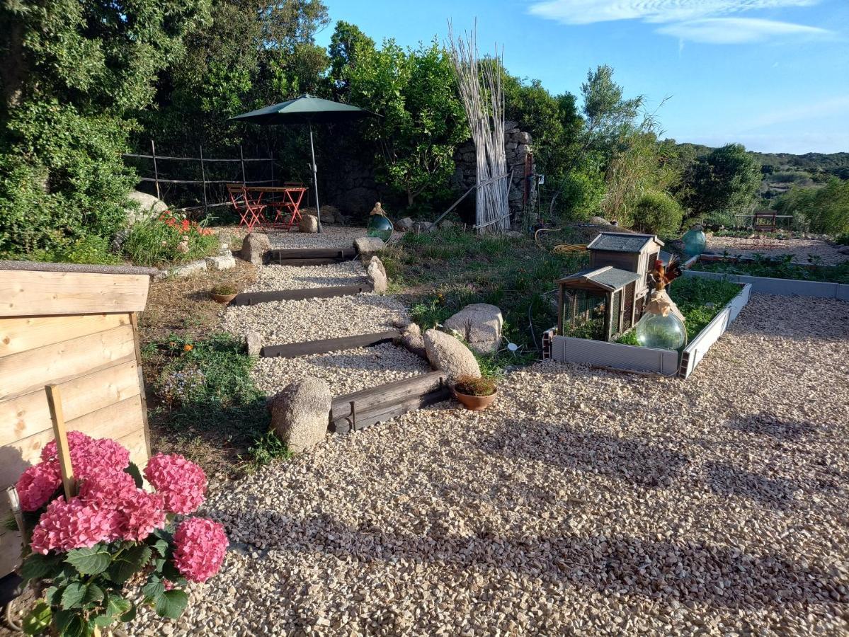 La Cera Farm Camping B&B Санта-Тереза-Галлура Экстерьер фото