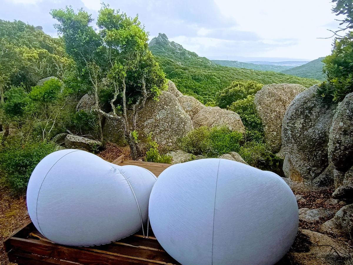 La Cera Farm Camping B&B Санта-Тереза-Галлура Экстерьер фото