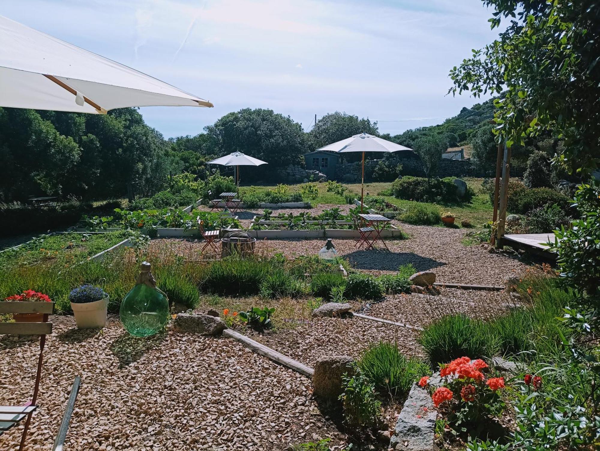 La Cera Farm Camping B&B Санта-Тереза-Галлура Экстерьер фото