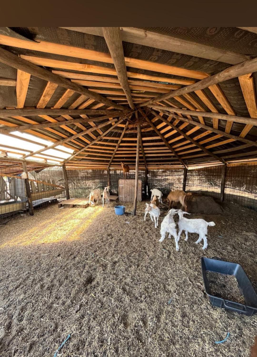 La Cera Farm Camping B&B Санта-Тереза-Галлура Экстерьер фото